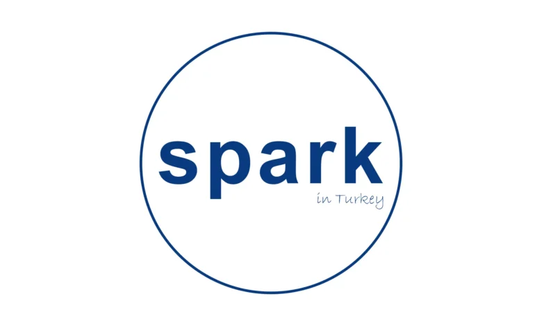 سبارك هي منظمة دولية غير حكومية تعمل في 15 دولة حول العالم. وذلك بهدف بناء قوة عاملة متعلمة ومستعدة للعمل من قادة المستقبل، تقدم منظمة سبارك منحاً دراسية للتعليم العالي (المهني) للشباب والضعفاء منهم (معظمهم من اللاجئين السوريين) في الشرق الأوسط.