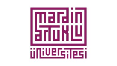 تأسست جامعة ماردين ارتوكلو Mardin Artuklu Üniversitesi عام 2007. وتم اختيارها لتكون "جامعة تخصص السياحة الثقافية" الأولى والوحيدة في تركيا