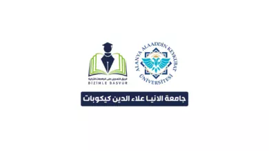 جامعة الانيا علاء الدين كيكوبات Alanya Alaaddin Keykubat Üniversitesi هي جامعة حكومية تركية تأسست عام 2015 في مدينة انطاليا. وتحتوي جامعة الانيا علاء الدين كيكوبات على 10 كليات و 1 معاهد عالي و 5 معاهد و 1 معهد دراسات عليا.