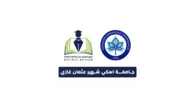 جامعة اسكي شهير عثمان غازي Eskişehir Osmangazi Üniversitesi هي جامعة حكومية تركية تأسست عام 1993 في مدينة اسكي شهير. وتحتوي جامعة اسكي شهير عثمان غازي على 13 كلية و 5 معاهد و1 معهد عالي و 4 معاهد دراسات عليا و 41 مركز تطبيقي وأبحاث.