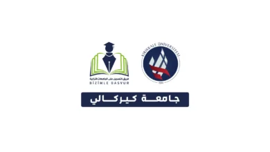 جامعة كيركالي Kırıkkale Üniversitesi هي جامعة حكومية تركية تأسست عام 1992 في مدينة كيركالي. وتحتوي جامعة كيركالي على 12 كلية و 7 معاهد مهنية و 1 معهد عالي و 3 معاهد دراسات عليا.
