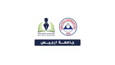 جامعة ارجيس Erciyes Üniversitesi هي جامعة حكومية تركية تأسست عام 1978 في مدينة قيصري. وتحتوي جامعة ارجيس على 19 كلية و 2 معاهد و1 معهد عالي و 7 معاهد دراسات عليا.