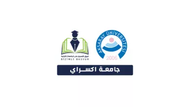 جامعة اكسراي Aksaray Üniversitesi هي جامعة حكومية تركية تأسست عام 2006 في مدينة اكسراي. وتحتوي جامعة اكسراي على 13 كلية و 1 معاهد عالي و 6 معاهد و 3 معاهد دراسات عليا و 17 مركز تطبيقي وأبحاث.