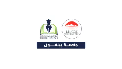جامعة بينغول Bingöl Üniversitesi هي جامعة حكومية تركية تأسست عام 2007 في مدينة بينغول. وتحتوي جامعة بينغول على 9 كليات و 6 معاهد و 5 معاهد دراسات عليا و 21 مركز أبحاث.