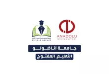 جامعة اناضولو التعليم المفتوح يعرف النظام التعليمي الرقمي في تركيا باسم التعليم المفتوح أو ما يقابلها بالتركية Açık Öğretim وهو نظام تعليم بدأت تركيا بالاتجاه نحوه عام 1982 وذلك في جامعة اناضولو العريقة، وفي عام 2010 بدأ العمل فيه في جامعتي إسطنبول وأتاتورك، وأخيراً في جامعة أنقرة، وهو معتمد من قبل مجلس التعليم العالي التركي YÖK، ويمكن للطلاب في تركيا وبعض الدول خارج تركيا الدراسة فيه.