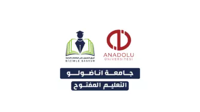 جامعة اناضولو التعليم المفتوح يعرف النظام التعليمي الرقمي في تركيا باسم التعليم المفتوح أو ما يقابلها بالتركية Açık Öğretim وهو نظام تعليم بدأت تركيا بالاتجاه نحوه عام 1982 وذلك في جامعة اناضولو العريقة، وفي عام 2010 بدأ العمل فيه في جامعتي إسطنبول وأتاتورك، وأخيراً في جامعة أنقرة، وهو معتمد من قبل مجلس التعليم العالي التركي YÖK، ويمكن للطلاب في تركيا وبعض الدول خارج تركيا الدراسة فيه.