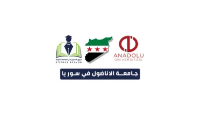 جامعة الاناضول في سوريا