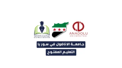 جامعة الاناضول في سوريا – التعليم المفتوح، هي امتداد لعراقة الجامعة التركية في التعليم عن بعد. وتعتبر جامعة الأناضول من أفضل الجامعات التركية الحكومية وتتميز بتنوع كبير في تخصصاتها وبلغات متعددة.